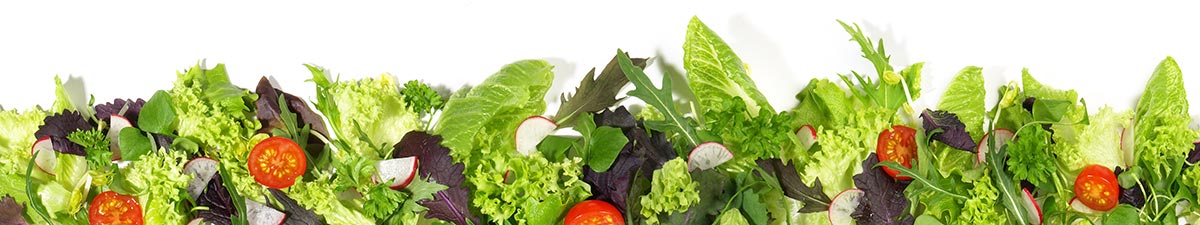 Salatbar & Kältebuffet günstig kaufen